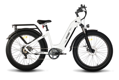 HAOQI Eagle Long Range Electric Bicycle [electric bike] [HAOQI ebike]