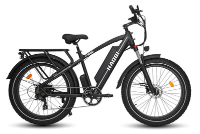 HAOQI Black 750w Leopard Pro Fat Tire Electric Bike [electric bike] [HAOQI ebike]