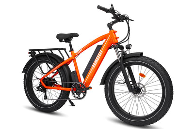 HAOQI Black 750w Leopard Pro Fat Tire Electric Bike HQEB0001A