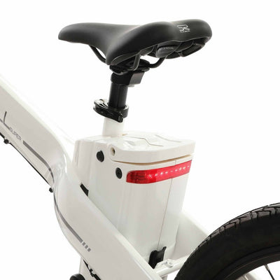 Ecotric Seagull Electric Mountain Bicycle - White