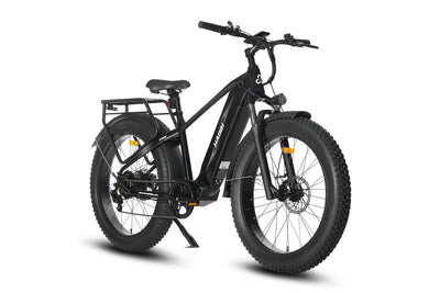 HAOQI Eagle Long Range Electric Bicycle HQEB0001F