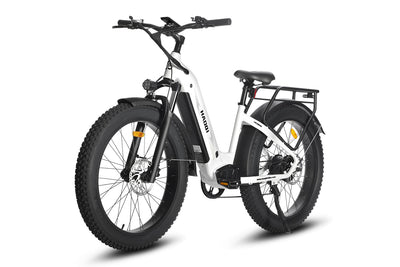 HAOQI Eagle Long Range Electric Bicycle HQEB0001F