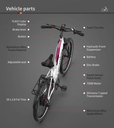 AOSTIRMOTOR new pattern 26" 750W Electric Bike Fat Tire 52V15AH Removable Lithium Battery for Adults