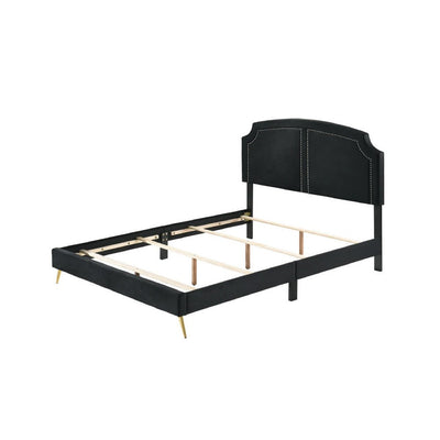 BENZARA Lily Platform Queen Upholstered Bed, Padded Headboard, Black, Gold - BM275693