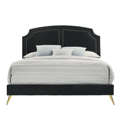 BENZARA Lily Platform Queen Upholstered Bed, Padded Headboard, Black, Gold - BM275693