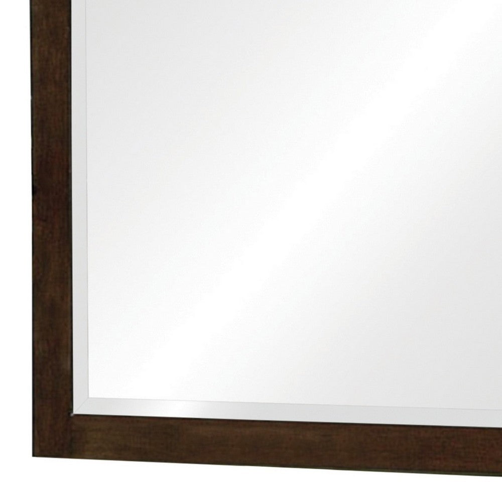 BENZARA 40 Inch Solid Wood Modern Mirror, Portrait, Framed, Cappuccino Brown - BM280469