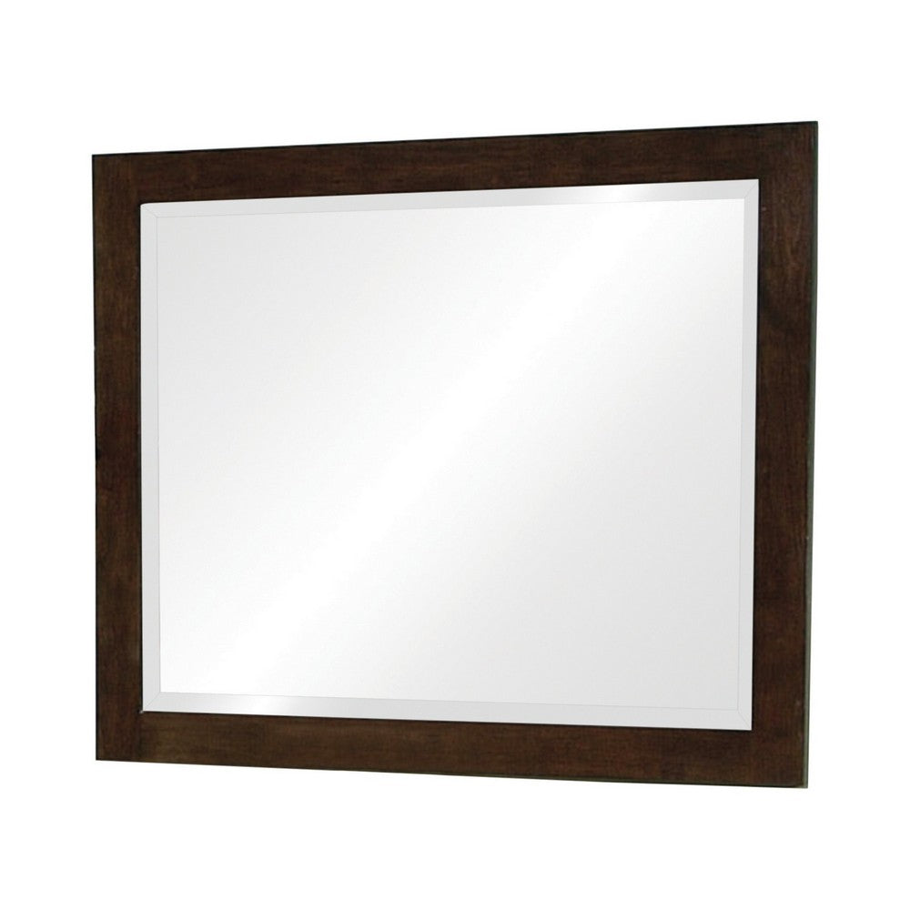 BENZARA 40 Inch Solid Wood Modern Mirror, Portrait, Framed, Cappuccino Brown - BM280469