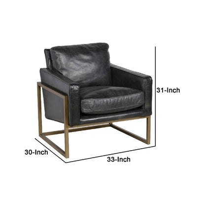 BENZARA 30 Inch Classic Club Chair, Top Grain Black Leather Upholstery, Brass Frame - BM283461