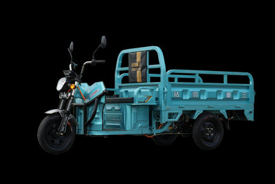 Pioneer Generation Electric Three Wheel 1.6m