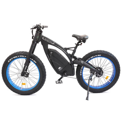 Ecotric big fat tire ebike Bison-junior