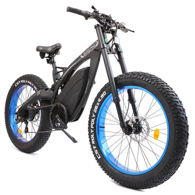 Ecotric 48v 17.5AH 1000W big fat tire ebike Bison-Matt Black