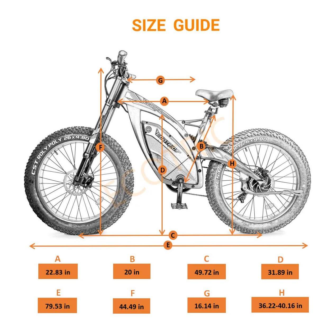 Ecotric big fat tire ebike Bison-senior