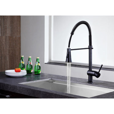 ANZZI Carriage Single Handle Standard Kitchen Faucet KF-AZ211BN