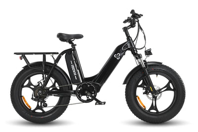 HAOQI Antelope 500W Cargo Electric Bike HQEB0015B-3