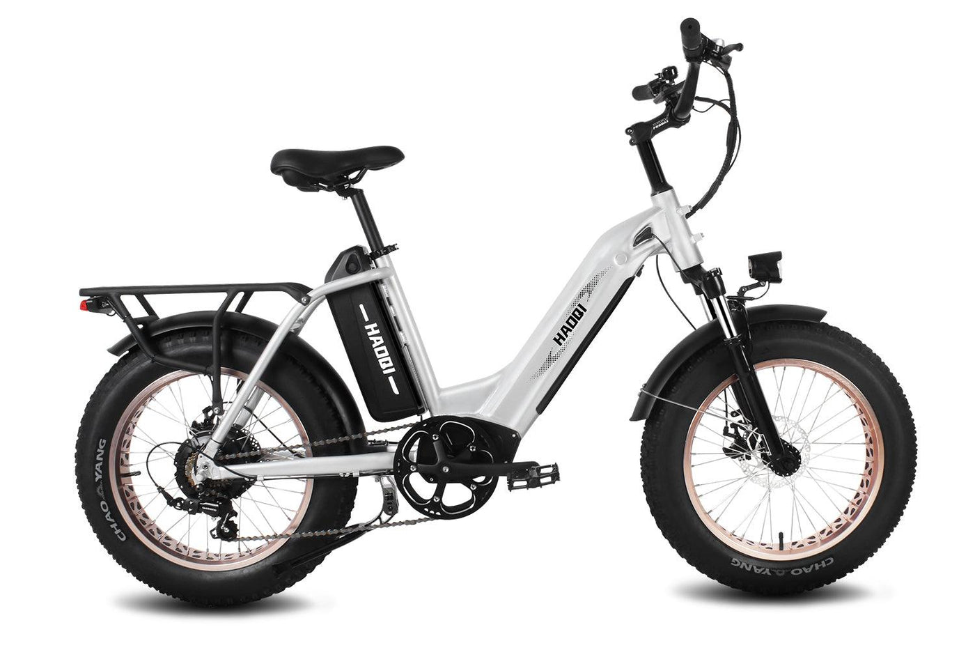 HAOQI Antelope Pro 750W Cargo Electric Bike [electric bike] [HAOQI ebike]