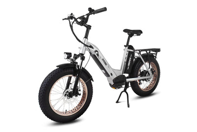 HAOQI Antelope Pro 750W Cargo Electric Bike HQEB0017B-3