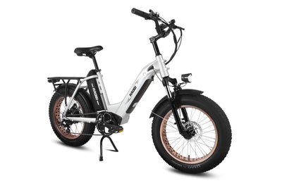 HAOQI Antelope Pro 750W Cargo Electric Bike HQEB0017B-3