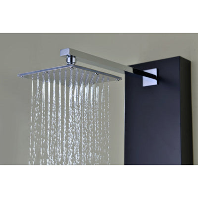 ANZZI Ronin 52 in. 2-Jetted Full Body Shower Panel with Heavy Rain Shower and Spray Wand in Black SP-AZ025