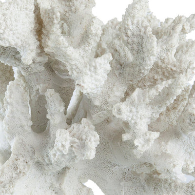 BENZARA Lily 10 Inch Faux Coral Accent Sculpture, Polyresin Decorative Piece, White - BM284967