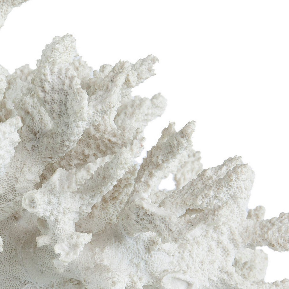 BENZARA Lily 10 Inch Faux Coral Accent Sculpture, Polyresin Decorative Piece, White - BM284967