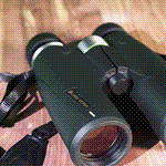 Alpen Optics Alpen Teton 10x42 Binoculars with Abbe Prism 82
