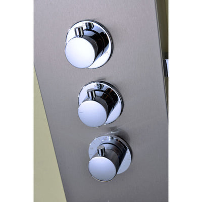 ANZZI Arc 64 in. 2-Jetted Shower Panel with Heavy Rain Shower and Spray Wand in Brushed Stainless Steel SP-AZ024