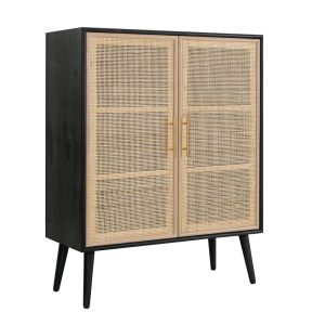 Dana 40 Inch Storage Cabinet, Wood Frame, 2 Shelves, 2 Rattan Doors
